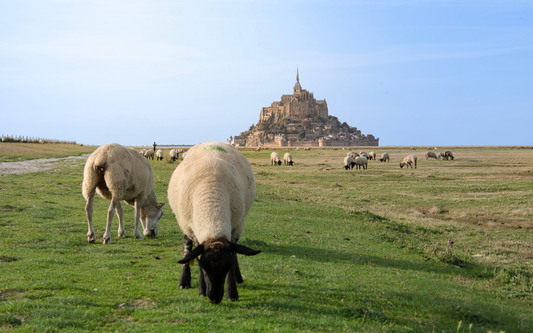 6 idées de sorties originales dans le Sud-Manche